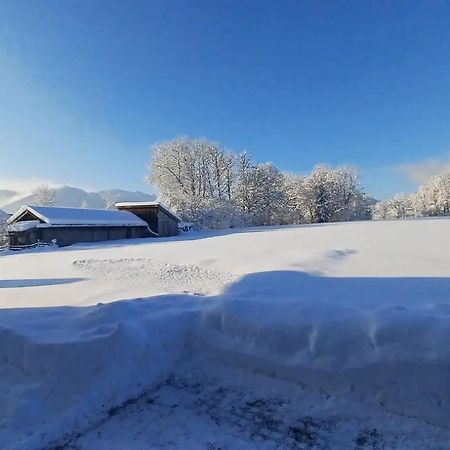 Ferienwohnung Geierstein Wackersberg エクステリア 写真
