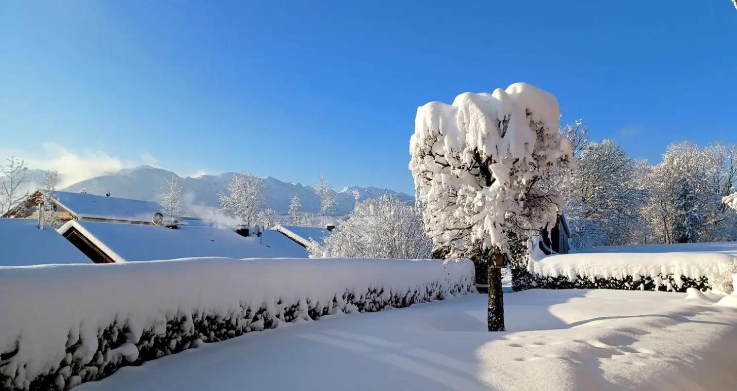 Ferienwohnung Geierstein Wackersberg エクステリア 写真